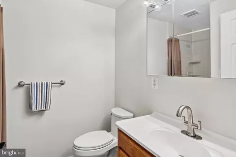 Bath - 1007 Harbor Dr, Annapolis, MD 21403 photo 8 of 9