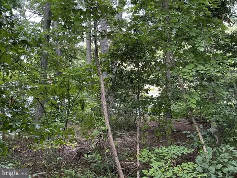 772 Pine Valley Dr, Arnold, MD 21012 photo 6