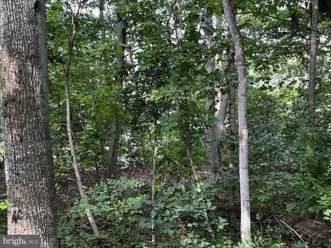 772 Pine Valley Dr, Arnold, MD 21012 photo 7
