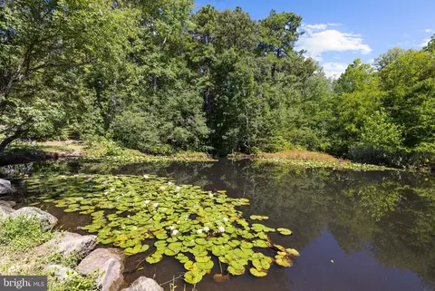 Other - 8208 Edwin Raynor, Pasadena, MD 21122 photo 22 of 29