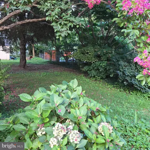 301 Cedar Ln, Annapolis, MD 21403 photo 5