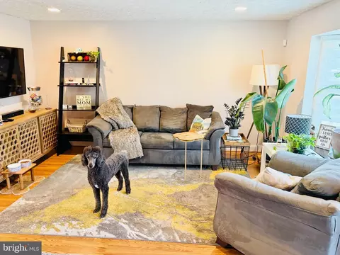 Living - 321 Cool Breeze Ct, Pasadena, MD 21122 photo 1 of 2
