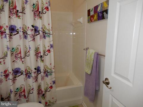 761 Cherry Bark Ln, Baltimore, MD 21225 photo 34