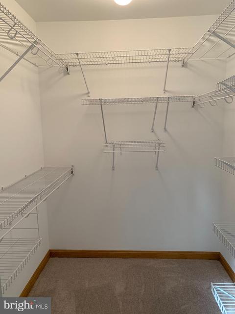 3539 S River Ter, Edgewater, MD 21037 photo 15