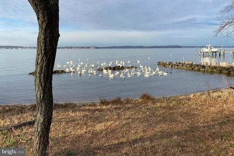 3811 Thomas Point Rd, Annapolis, MD 21403 photo 67