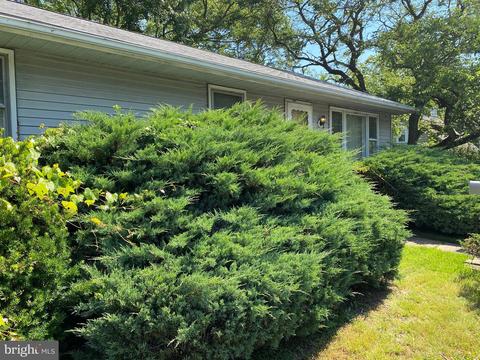 1002 Tyler Ave, Annapolis, MD 21403 photo 4