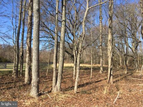 Ferry Point Road, Annapolis, MD 21403 photo 14