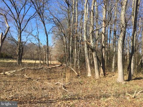 Ferry Point Road, Annapolis, MD 21403 photo 13
