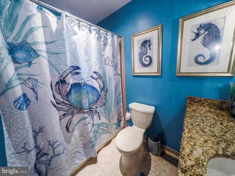 506 Tulip Rd, Riva, MD 21140 photo 26