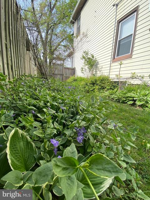 309 Audrey Ave, Baltimore, MD 21225 photo 28