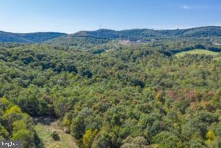 20101 Root Rd NE, Flintstone, MD 21530 photo 11