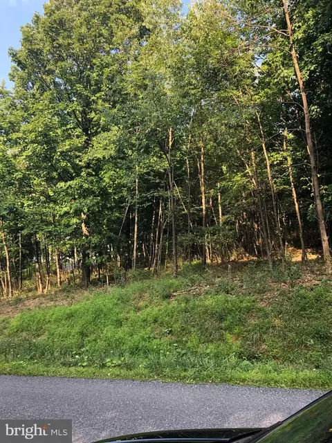 Harwood Drive, Eckhart, MD 21528