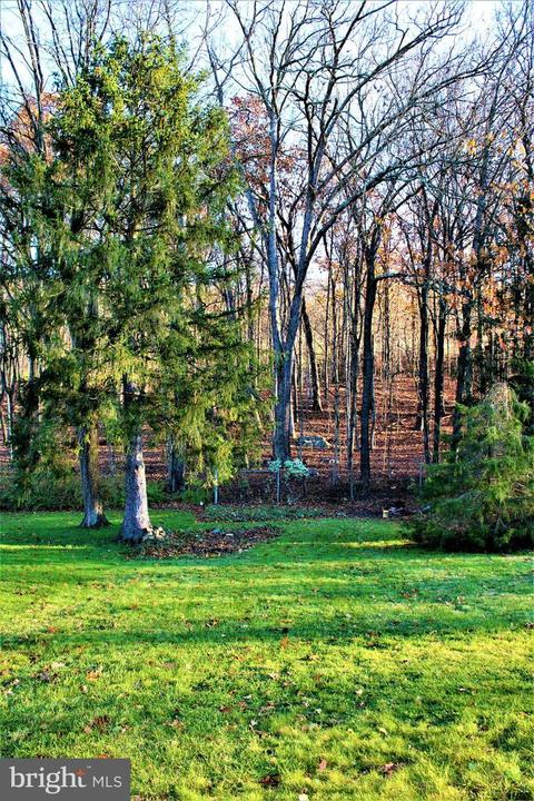 1148 Braddock Rd, La Vale, MD 21502 photo 8