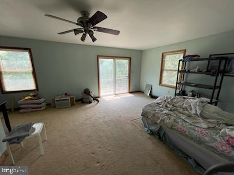 14100 Double Pine Rd NE, Flintstone, MD 21530 photo 8