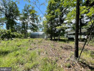 14100 Double Pine Rd NE, Flintstone, MD 21530 photo 22