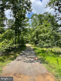 14100 Double Pine Rd NE, Flintstone, MD 21530 photo 19