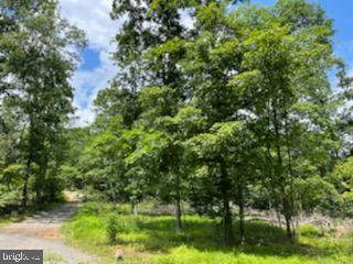 14100 Double Pine Rd NE, Flintstone, MD 21530 photo 20
