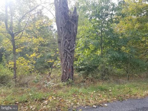 Old Cumberland Road, Flintstone, MD 21530