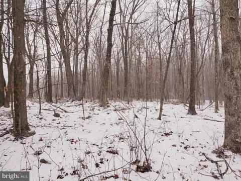 Piney Mt Road, Eckhart, MD 21528