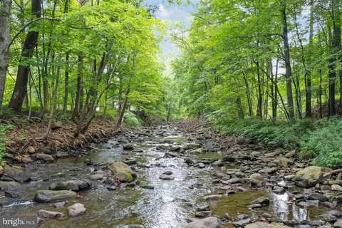 18424 Creek Bottom Rd SW, Barton, MD 21521 photo 46