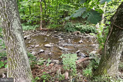 18424 Creek Bottom Rd SW, Barton, MD 21521 photo 45