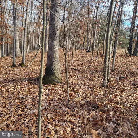 18791 E Wilson Rd SE, Oldtown, MD 21555