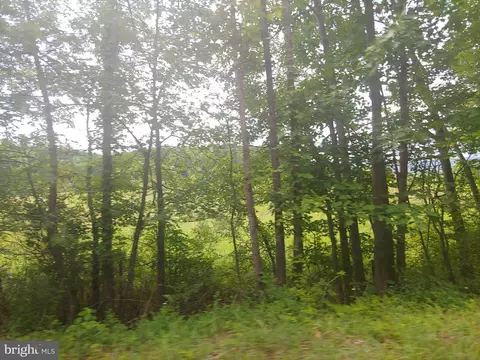 Bear Hill Road, Oldtown, MD 21555