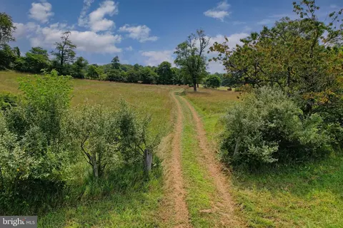 21205 Long Mountain Rd, Westernport, MD 21562 photo 26