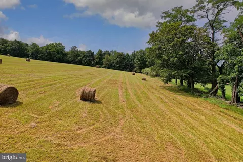 21205 Long Mountain Rd, Westernport, MD 21562 photo 52