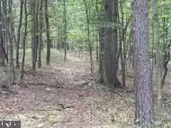 Queens Point Road, Mccoole, MD 21562 photo 10