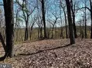 Queens Point Road, Mccoole, MD 21562 photo 11