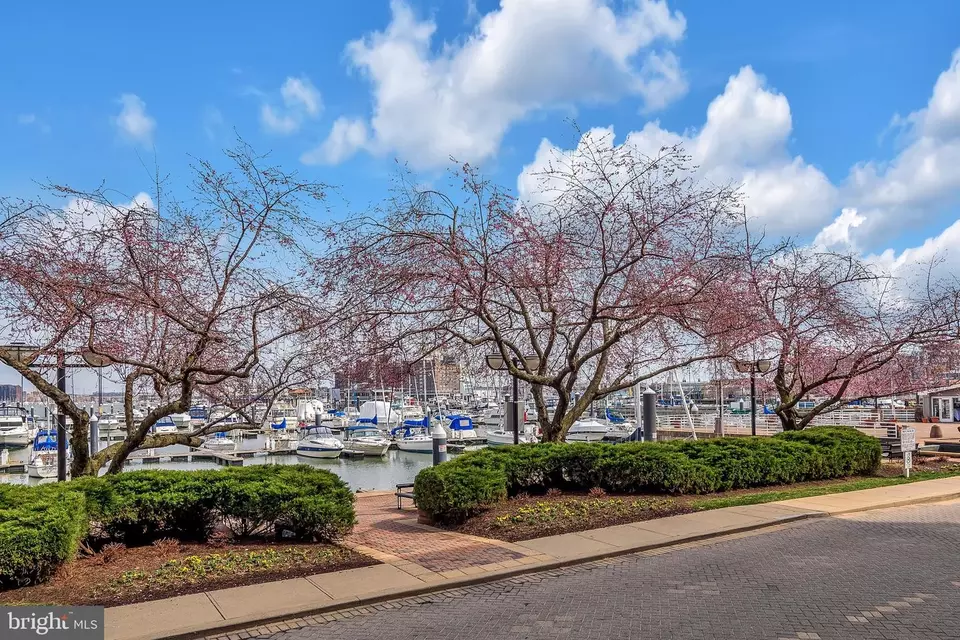 1215 Harbor Island Walk, Baltimore, MD 21230 photo 84