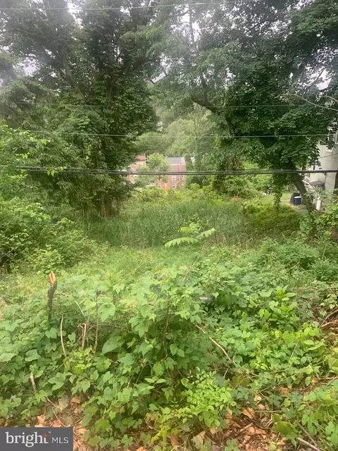 4502 Wakefield Rd, Baltimore, MD 21216 photo 6