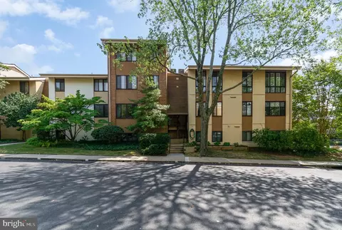 1 Hamill Rd #1F, Baltimore, MD 21210 photo 27