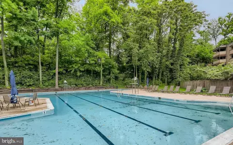 1 Hamill Ct #35, Baltimore, MD 21210 photo 28