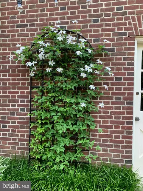 Other - 206 Enfield Rd, Baltimore, MD 21212 photo 14 of 14