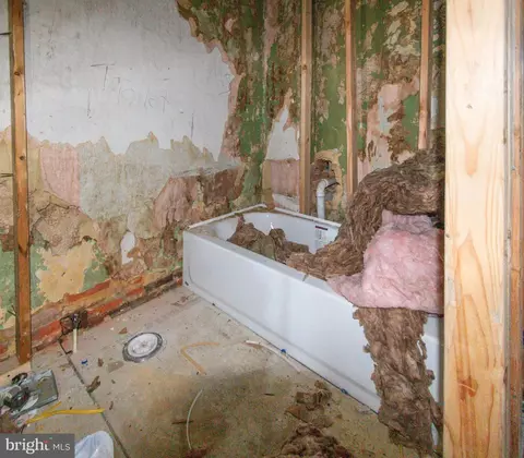 Bath - 1018 E Biddle St, Baltimore, MD 21202 photo 1 of 1