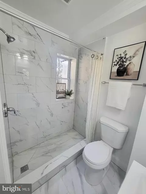Bath - 1213 Valley St, Baltimore, MD 21202 photo 4 of 4