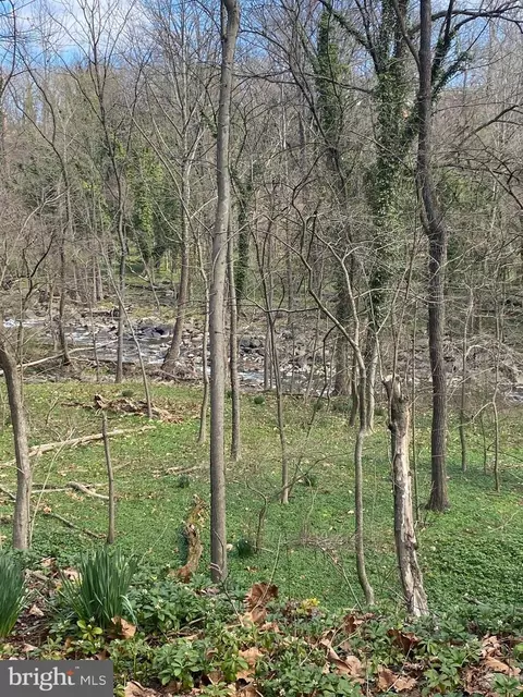 View/Area - 2519 Pickwick Rd, Baltimore, MD 21207 photo 3 of 5