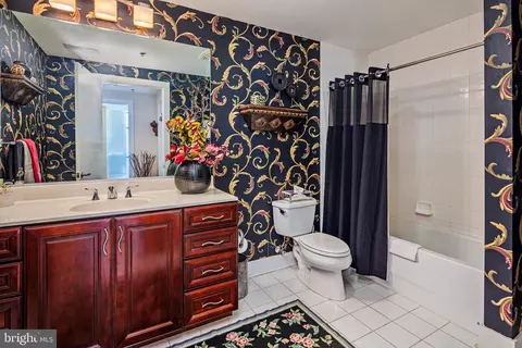 Bath - 2772 Lighthouse Pt E #316, Baltimore, MD 21224 photo 7 of 8