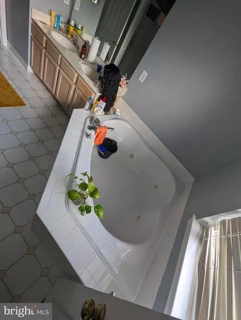 Bath - 2 Coralberry Ct, Baltimore, MD 21209 photo 2 of 4