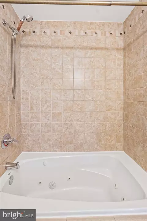 Bath - 2225 Eutaw Pl #3C, Baltimore, MD 21217 photo 5 of 5
