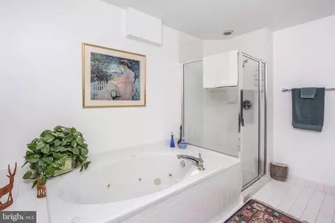 Bath - 100 Harborview Dr #1213, Baltimore, MD 21230 photo 2 of 6
