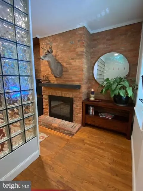 Entry Way - 611 S Wolfe St S, Baltimore, MD 21231 photo 2 of 13