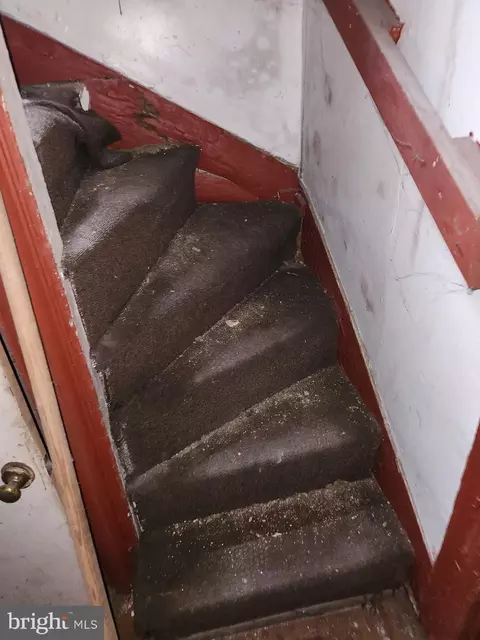 Entry Way - 1727 Mcculloh St, Baltimore, MD 21217 photo 3 of 8