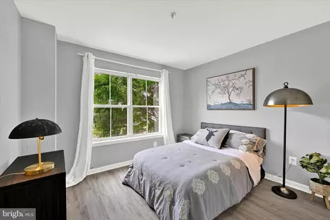 1005 Myrtle Ave, Baltimore, MD 21201 photo 18