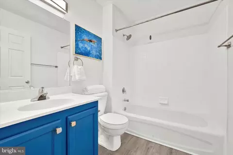 1005 Myrtle Ave, Baltimore, MD 21201 photo 17