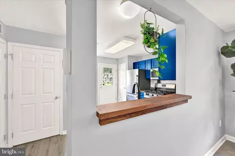 1005 Myrtle Ave, Baltimore, MD 21201 photo 9