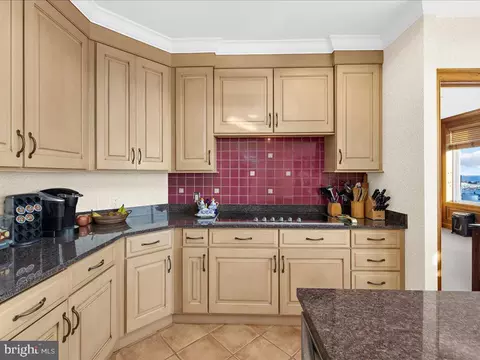 Kitchen - 100 Harborview Dr #PH1D, Baltimore, MD 21230 photo 5 of 7