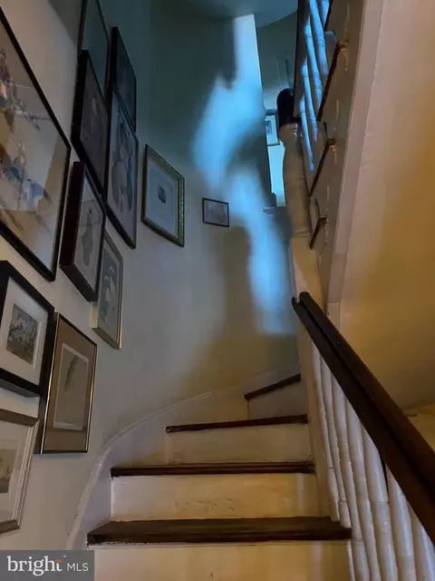 Entry Way - 206 E Biddle St, Baltimore, MD 21202 photo 4 of 13
